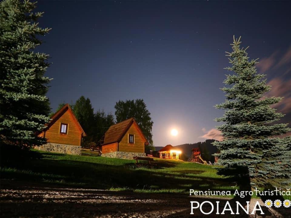 Pensiunea Agroturistica Poiana Poiana Negrii Exterior foto