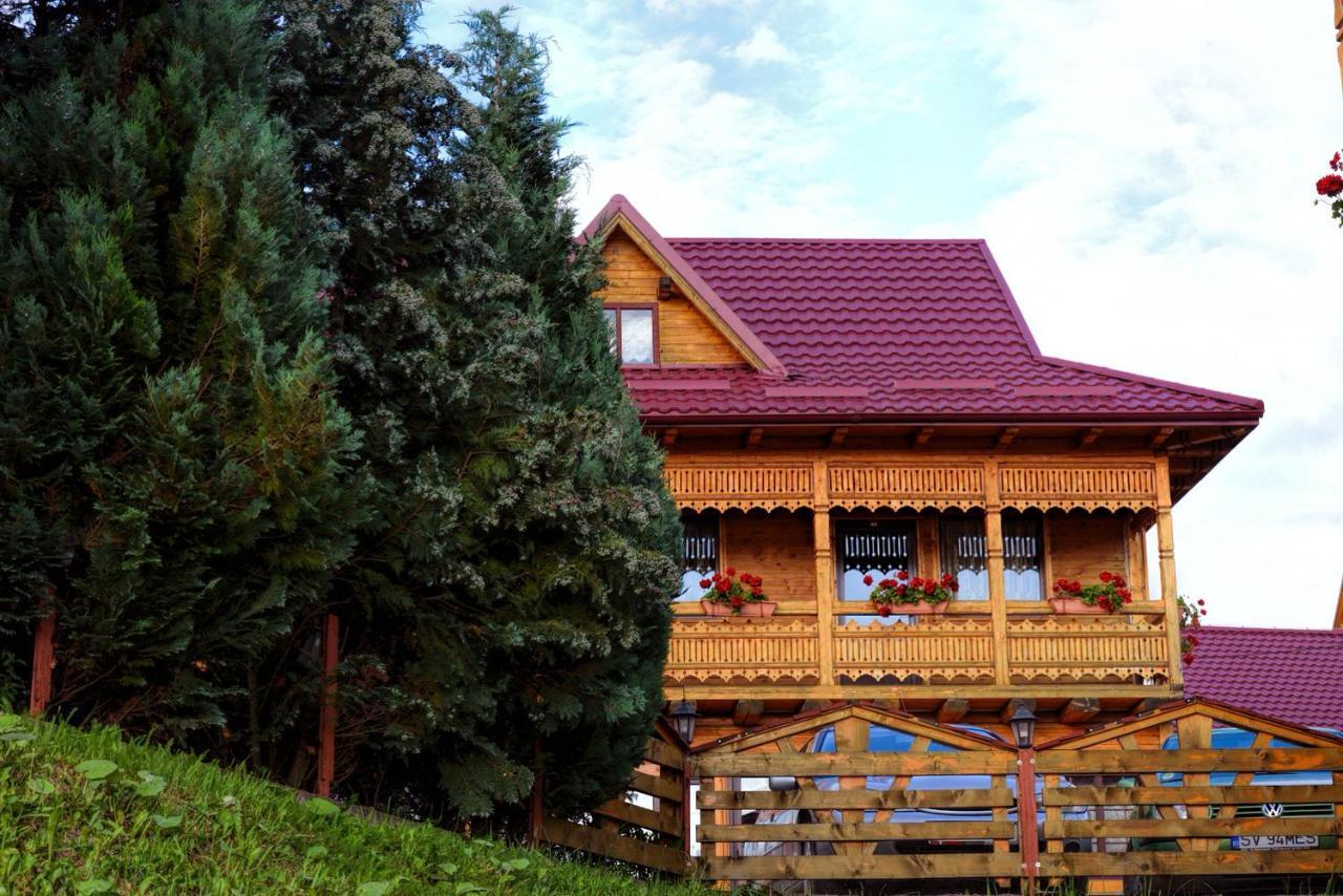Pensiunea Agroturistica Poiana Poiana Negrii Exterior foto
